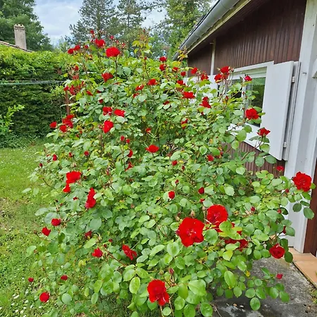 Holiday home Les Hauts Benquey Merignas
